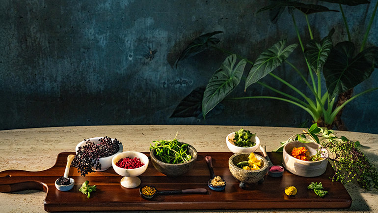 Kimpton Reveals the Trending Tastes of 2026