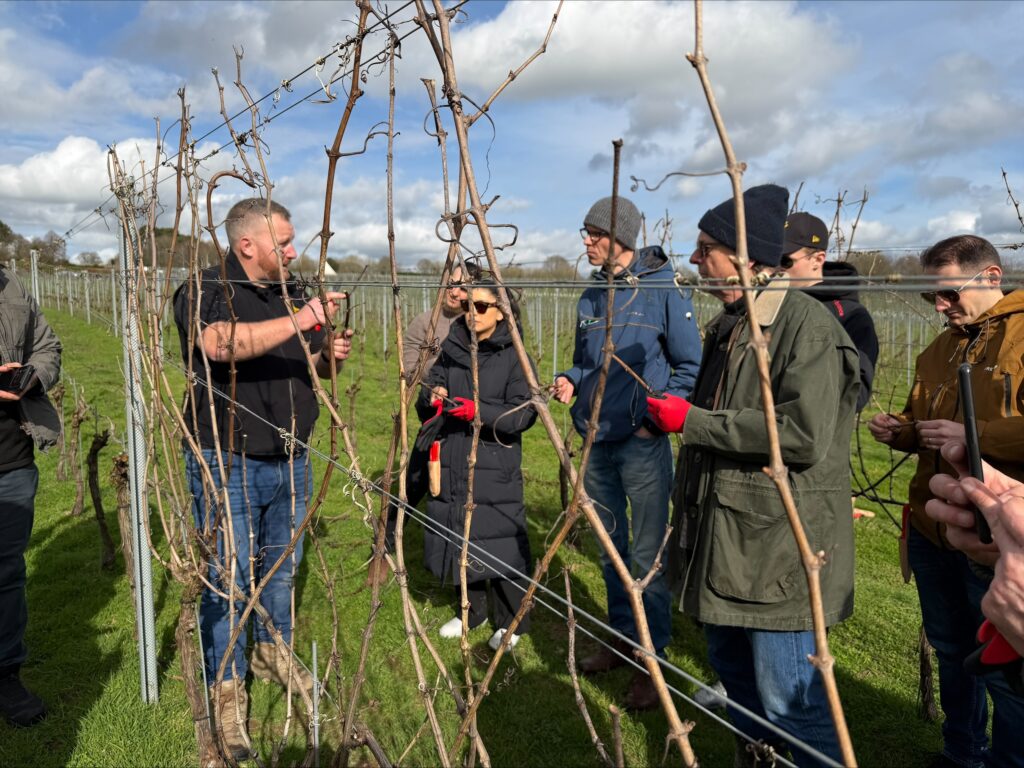 Head sommeliers and wine buyers for the opening session of the 2026 Roebuck Viticulture Academy