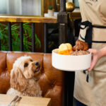 Tom Kerridge’s The Chalk Freehouse Unleashes The Dog’s Dinner for London’s Four-Legged Foodies